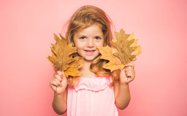 Little girl are preparing for autumn kids sale day. cute girl in a autumn seasonal clothes. Autumn time. Season and autumn holiday. Little girl isolated on background board for Copyspace.