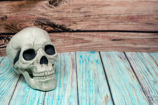 Skull skeleton head isolated on a wooden background. Concept for Halloween, science or biology