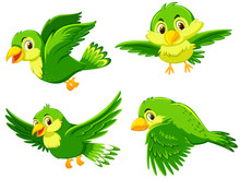 Green Bird With Different Action