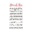 © paw - Brush pen handwritten alphabet, letters, numbers and symbols, vector font, handmade, lettering