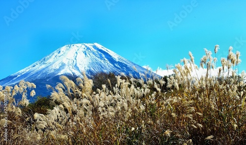 冠雪の富士山とススキ 日本の秋の風景 Stock 写真 Adobe Stock