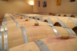 View of wine barrels in winery