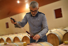 Winemaker Tasting Red Wine In Cellar