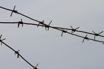 Barbed wire fencing. Fence made of wire with spikes. The illustration to the holocaust. Objects photo.