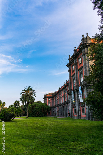 Fotografie, Obraz The side view of the National Museum of Capodimonte in Naples, Italy