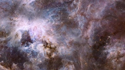 Wall Mural - Travel to tarantula nebula large star field and cosmic clouds. Contains public domain image by NASA