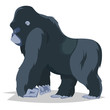 © eduardrobert - Gorilla walking side view.