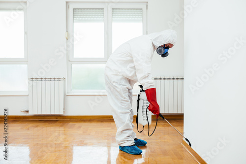 Cuadros en Lienzo Exterminator in work wear spraying pesticide or insecticide with sprayer