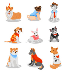  Cute purebred puppies set, pedigree dog characters vector Illustrations on a white background