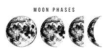 Moon Phases Illustration
