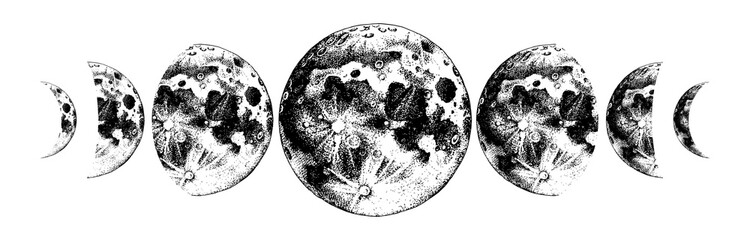 Canvas Print - moon phases illustration