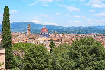 Wall Mural - Aerial view of Florence with the Basilica Santa Maria del Fiore (Duomo) and tower of 