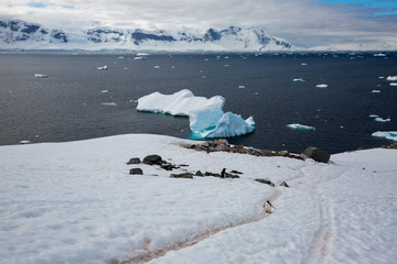 ice in the Antarctica with iceberg in the ocean