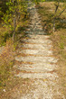 Old stone steps, path in autumn forest 1