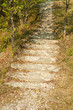 Old stone steps, path in autumn forest