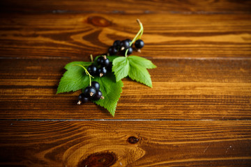 Canvas Print - ripe berries black currants on a wooden table