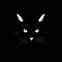 Cat's Face In The Dark. Vector Cat's Eyes, Ears, Nose And Whiskers Isolated On Black Background.