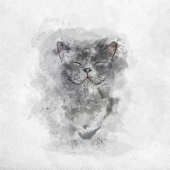 Wall Mural - Watercolor painting of happy British Shorthair cat