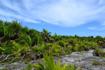 Tulum 5