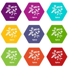 Canvas Print - Spice icons 9 set coloful isolated on white for web