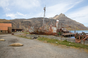 old fisher village n Antarctica