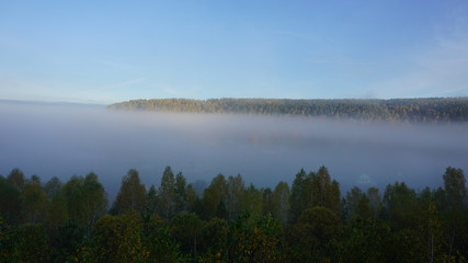 morning fog