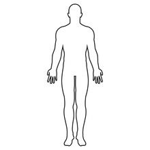 Human Body Silhouette. Vector. Isolated.
