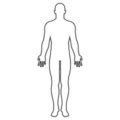 human body silhouette. vector. isolated.
