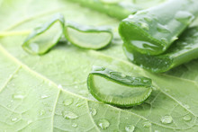 Fresh Green Aloe Vera Slices With Drops On Leaf, Closeup