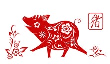 Happy Chinese New Year 2019.  Zodiac Sign Year Of The Pig