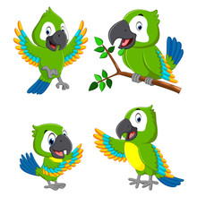 The Collection Of The Green Parrots With The Different Expression 
