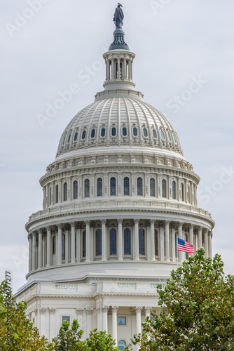 Fotografia, Obraz US Capitol Building Dome with American Flag