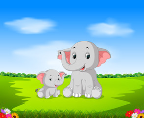 Poster - the natural view with the mother elephant and her baby playing in the garden 
