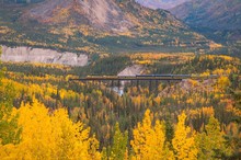 A Train Surrounded By Fall Color In Alaska