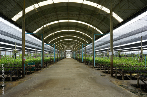 Indoor Tropical Orchid Flower Farm With Curved Roof In The Middle Stock Photo Adobe Stock