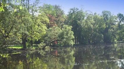 Wall Mural - Leaves of trees slowly fall in water,Autumn park with the river,Landscape in a sunny day