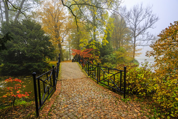 Poster - Scenic view of misty autumn landscape with beautiful old bridge in the garden with red maple foliage.