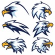 Set of Eagle Logo Vector Design