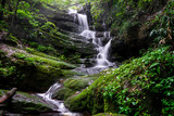 Fototapeta Łazienka - waterfall among nature green moss and rock