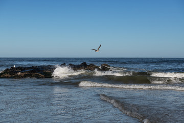 Blue Sky and the Sea