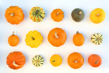 Pumpkins And Squashes Varieties.