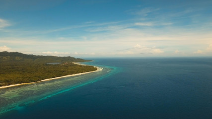 Wall Mural - Aerial view of tropical beach on the island Bohol, Anda area, Philippines. Beautiful tropical island with sand beach, palm trees. Tropical landscape: beach with palm trees. Seascape: Ocean, sky, sea