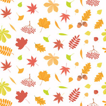 Seamless Repeat Pattern With Different Falling Leaves, On A White Background. Hand Drawn Vector Illustration. Flat Style Design. Concept For Autumn Textile Print, Wallpaper, Wrapping Paper.