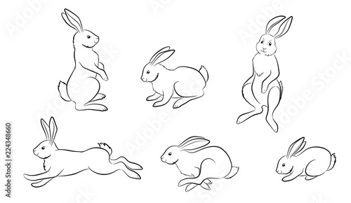 Cuadros en Lienzo Rabbit. Set of different Rabbit and hare figures