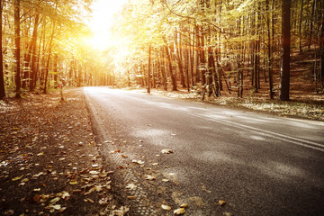 Wall Mural - Autumn road background and sunset time. 