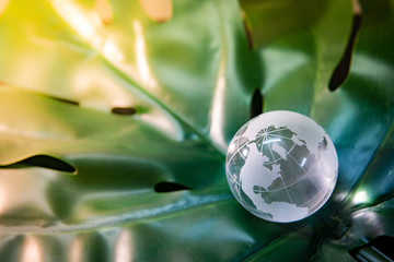 World globe cystal glass on green lush leaf. Environmental conservation. World environment day. Global business for sustainable development. Nature and ecology concept.