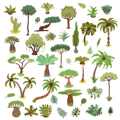 Collection of tropical trees, palms and other tropical exotic plants vector illustration set. Lush forest. Rainforest jungle trees, plants, shrubs, leaves and bushes, paradise beach resort crooked