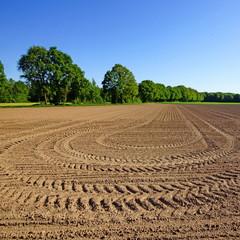 Poster - Blick auf die Schravelsche Heide it Ackerfurchen - KEVELAER am Niederrhein 