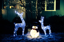 Shiny Christmas Decorations Outside At Night. Reindeer Family And Snowman. Christmas Background
