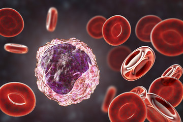 Sticker - Monocyte surrounded by red blood cells